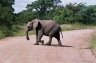 Zuid Afrika